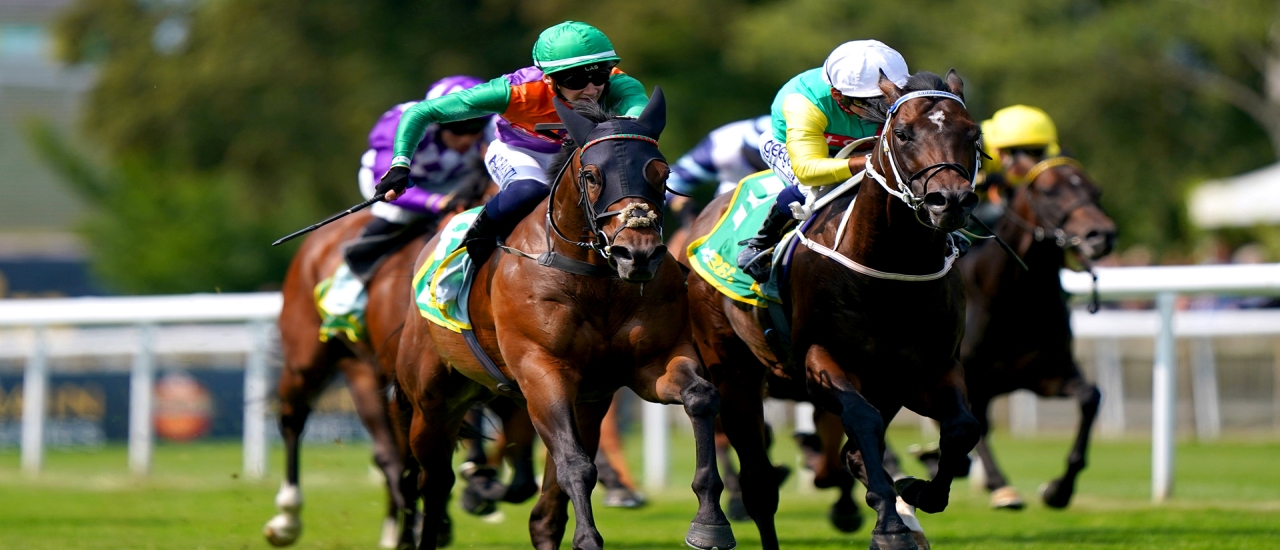 What to Expect in the 2023 Shergar Cup