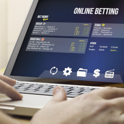 Why You Should Start a Bookie Business